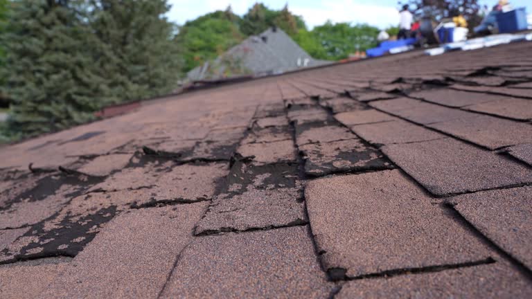 Best Roof Leak Repair  in Canfield, OH