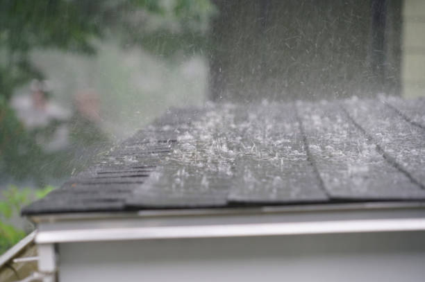 Best Gutter Installation and Repair  in Canfield, OH