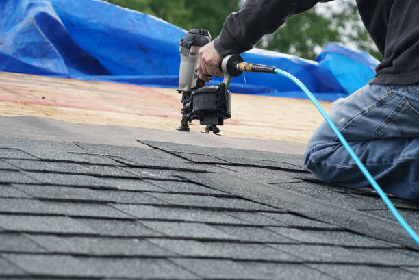Best Roof Moss and Algae Removal  in Canfield, OH