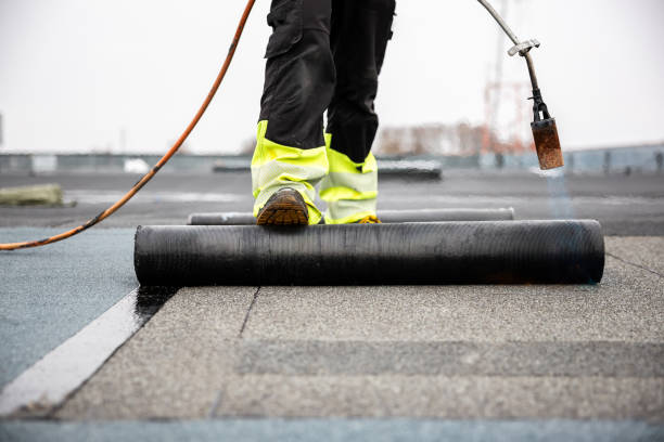 Professional Roofing in Canfield, OH