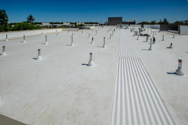 Best Roof Maintenance and Cleaning  in Canfield, OH